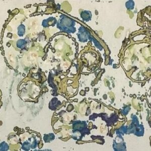 Flower Show Finalists_ink on xuan paper_53x148cm_DReid