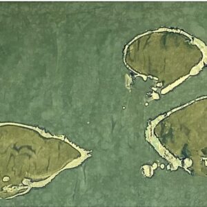 The Dewy Path_ink on xuan paper_70x170cmW_DReid