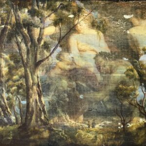 Bush Doof #1 - 2022, gel transfer on original painting - Daub, W58xH48cm