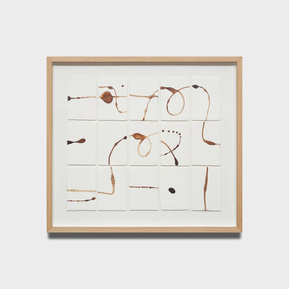 Tea Dragon 6 _2026, 15 panel, tea on paper, 620x690mm