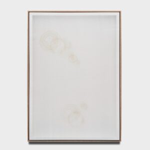 Tea Party: White Peonies _2025_white tea on silk and canvas_1190x841mm